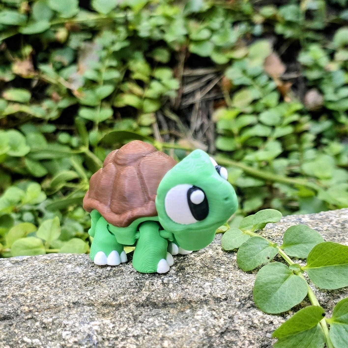 Schildkröte Mini Ansicht 5